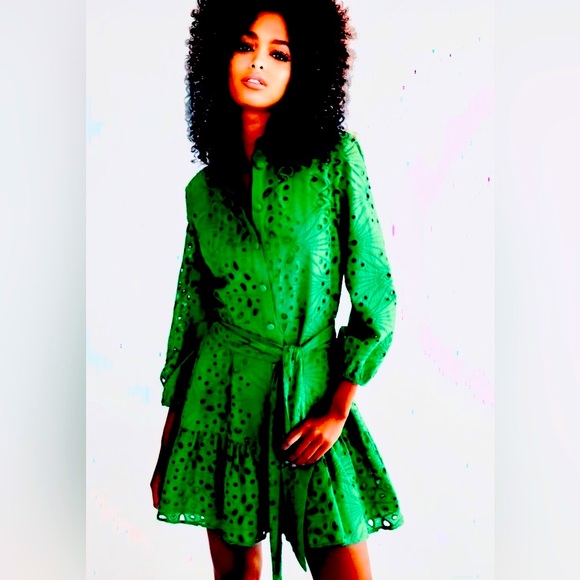 NWT ZARA Sz Small Brilliant Kelly Green Openwork Embroidered Dress DRESS!!👗😍 - Picture 4 of 8